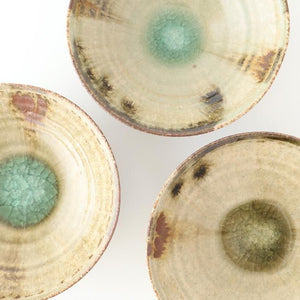 Flat Bowl Gray and Green Bottom | Serving Bowl Mino Ware