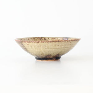 Flat Bowl Gray and Green Bottom | Serving Bowl Mino Ware