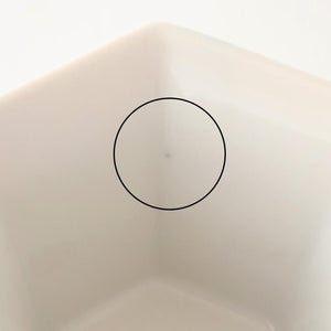 Biseki Kiln Hexagonal small Small Bowl White Flower | Kobachi Kutani Ware