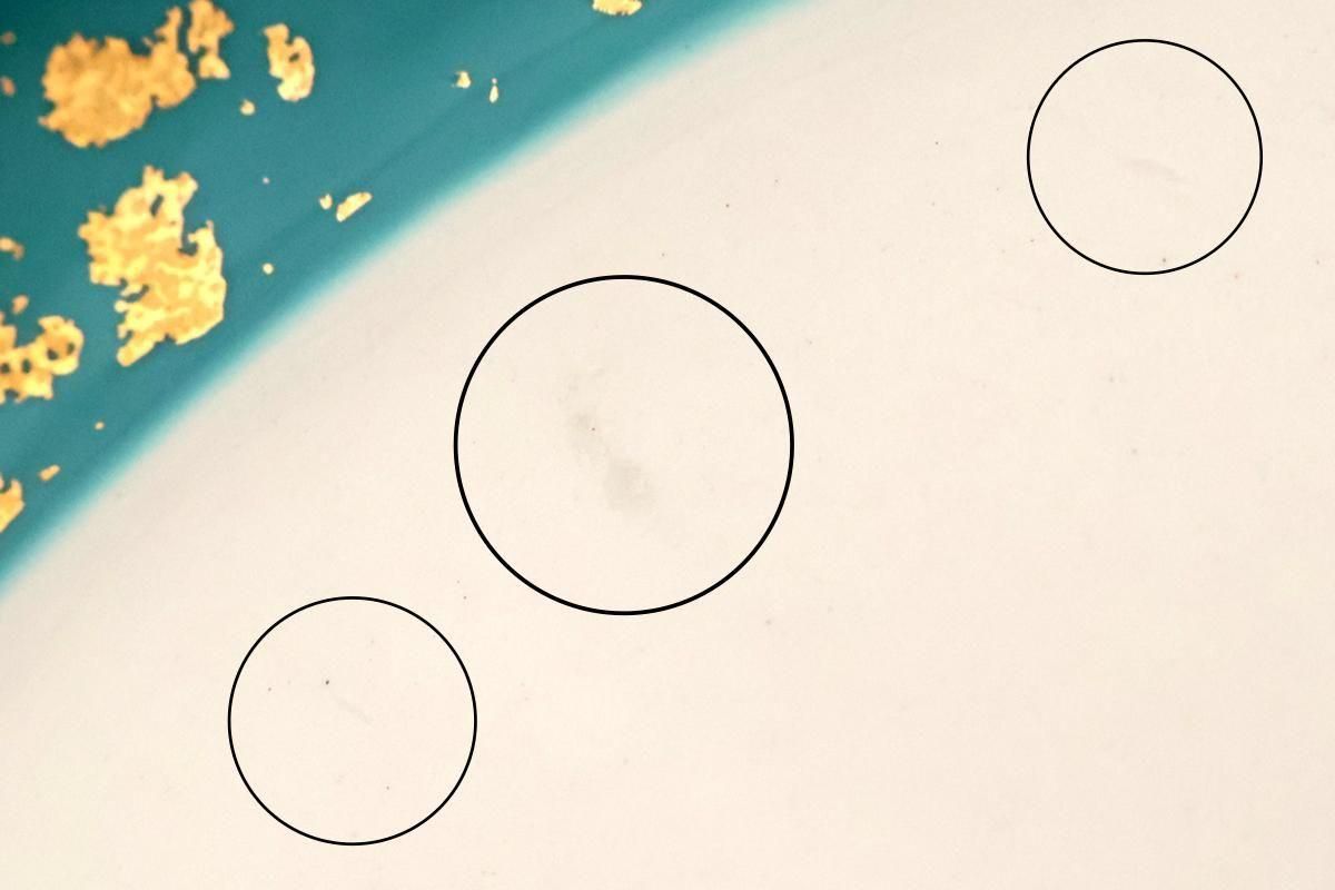 Multi-purpose Plate Turquoise and Gold | Arita Ware