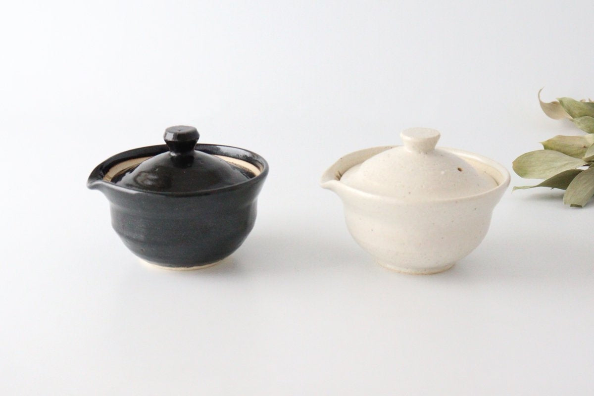 Japanese Teapot Hohin White | Kyusu Iga Ware